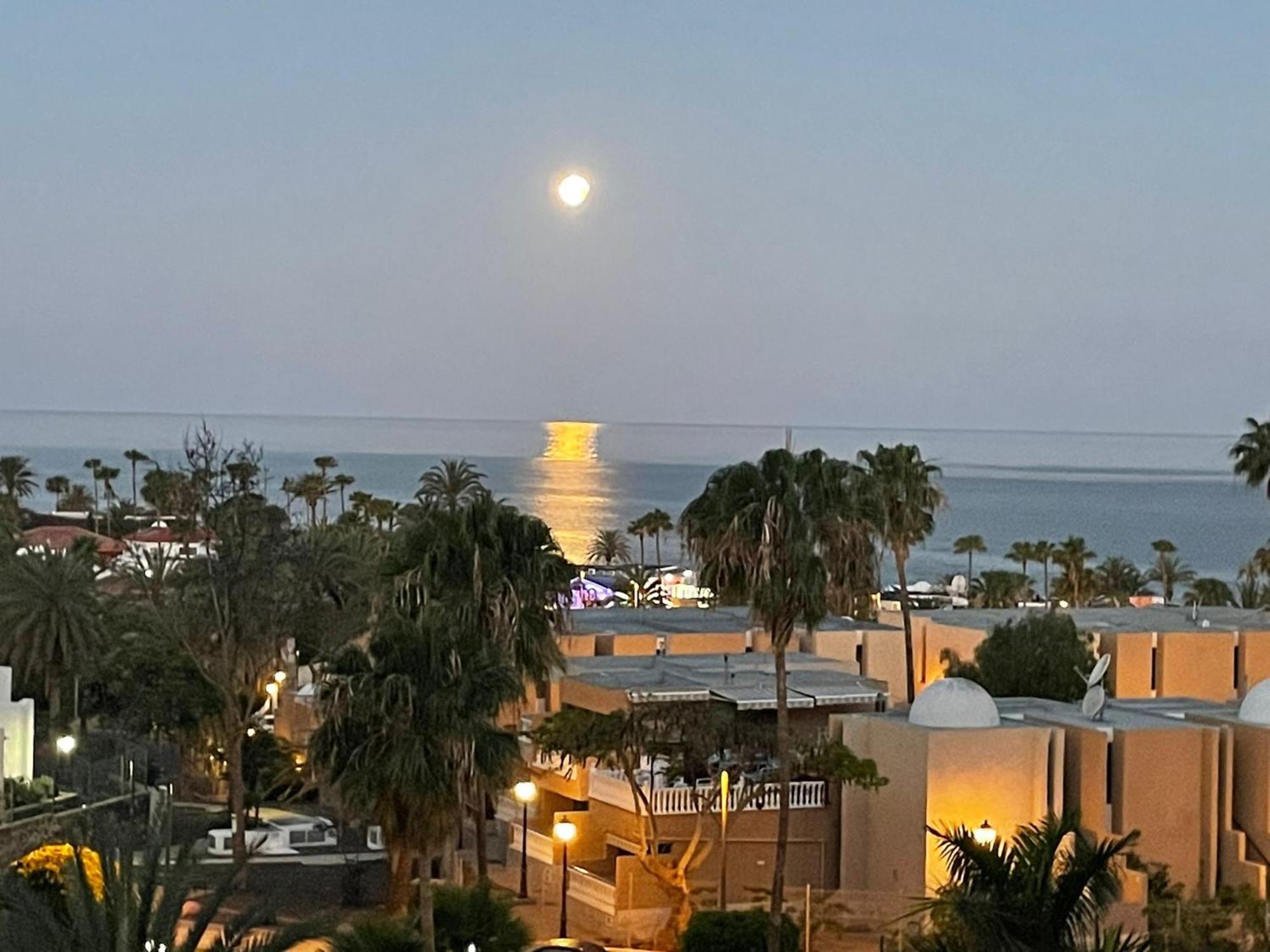 Pretty View Borinquen Playa De Las Americas Playa Feñabe 部屋 写真